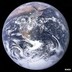Extinction of Species .ORG