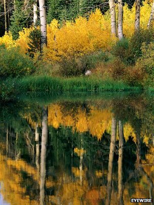 mountain-lake-canada